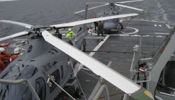 Technical Advisor - Helicopter Platforms