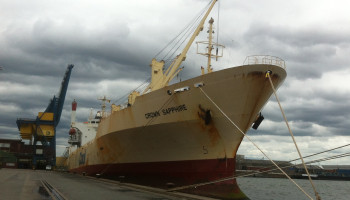 Conversion - Reefer Vessels